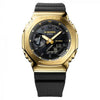CASI O GSHOC K GM 2100 1096