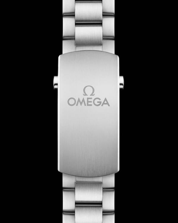 Omegg_a Seamaster Planet Ocean 600M silver Black